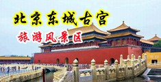 大鸡吧插Chinese操逼动漫中国北京-东城古宫旅游风景区